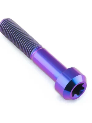 Autentický Pro-Bolt titanový torx šroub s cylindrickou hlavou se závitem M10 x 1.25mm a délkou 55mm, barva opálená fialová