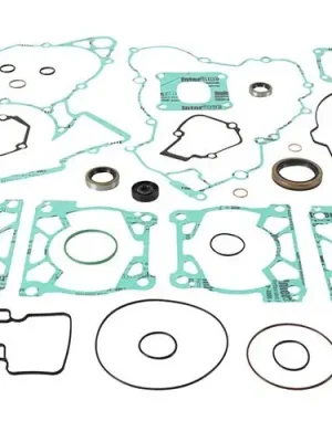 Sada těsnění motoru kompletní vč. gufer motoru WINDEROSA CGKOS 8110009 Cenově Výhodný